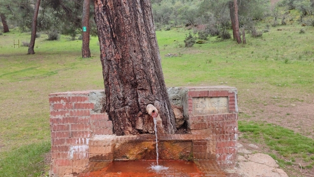 Çeşmeden maden suyu içmek isteyen vatandaşlar Laçin'e geliyor