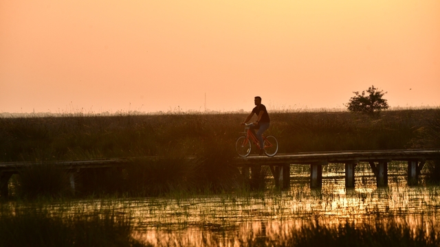 Kızılırmak Deltası Kuş Cenneti'nde bahar coşkusu