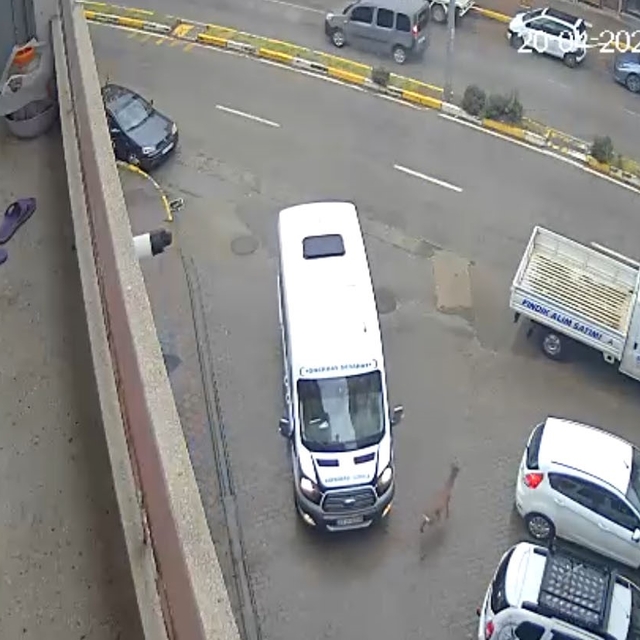 Karaca Giresun'un Görele ilçesinde şehir merkezine indi: iki araca çarptı,...