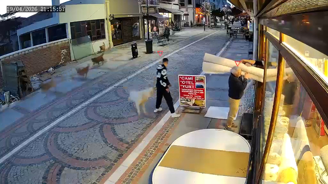 Sokak köpeğinin saldırısında yaralandı; o anlar kamerada