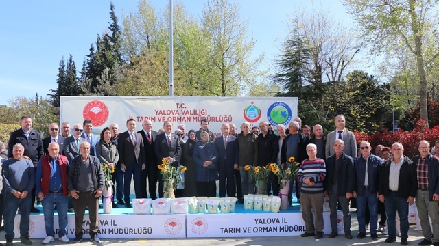 Yalova'da çiftçiye ayçiçeği ve fasulye tohumu desteği