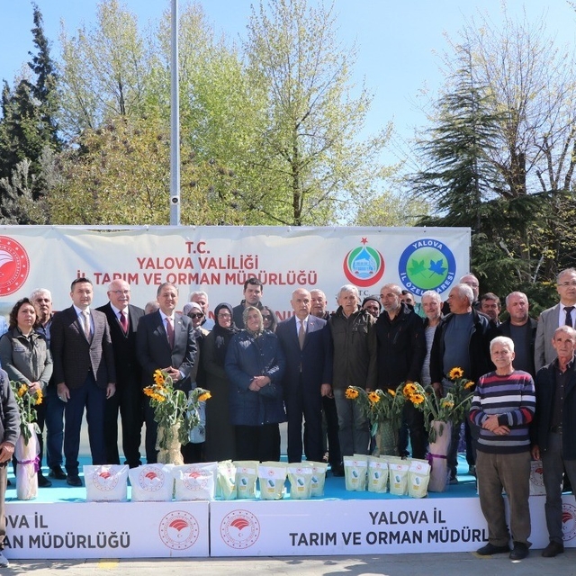 Yalova'da çiftçiye ayçiçeği ve fasulye tohumu desteği