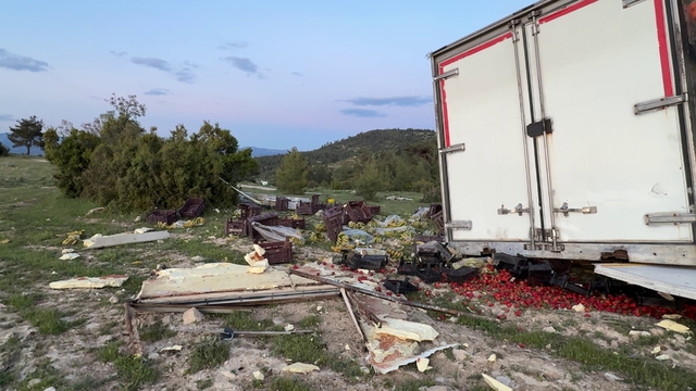 Freni boşalan sebze yüklü TIR ağaca çarparak durabildi