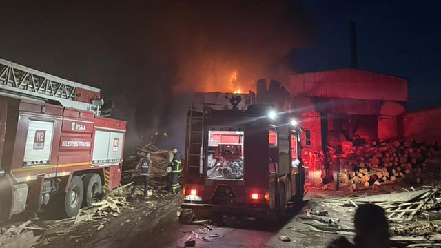 Edirne'de kereste fabrikasında yangın (2)