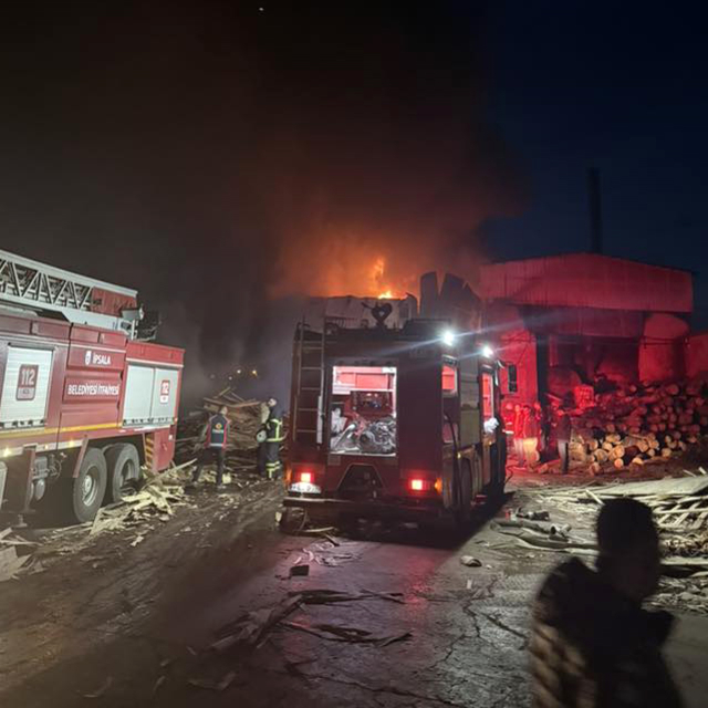 Edirne'de kereste fabrikasında yangın (2)