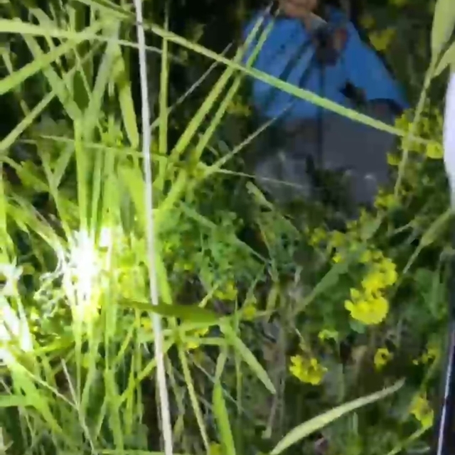 Şanlıurfa'da kayalıklarda mahsur kalan 2 küçük kardeş kurtarıldı