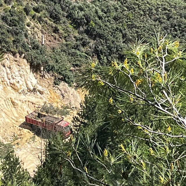 Buldan'da tartışmalı maden sahasında ağaç kesimi başladı
