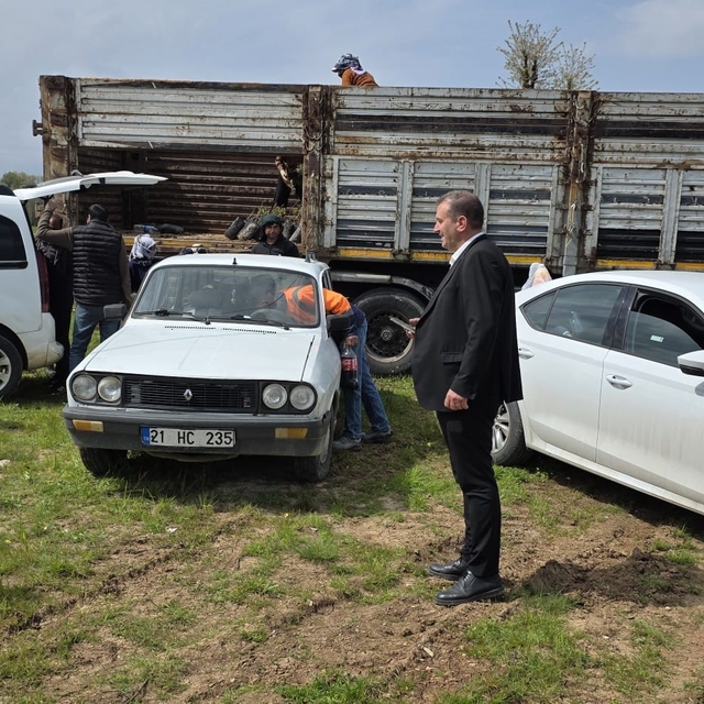 Dicle'de çiftçilere yüzde 100 hibeli bin 176 adet fıstık çöğürü dağıtıldı