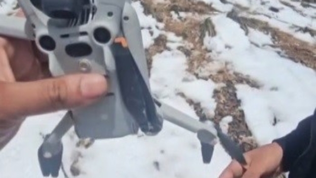 Kartal droneyi havada kaptı, zirvede bıraktı