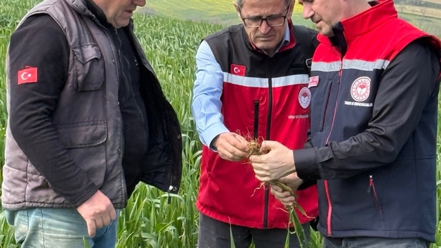 Tekirdağ'dan kısa kısa