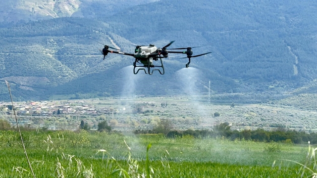 Aydın Büyükşehir tarıma destek oluyor
Tarlalar drone ile ücretsiz gübreleniyor