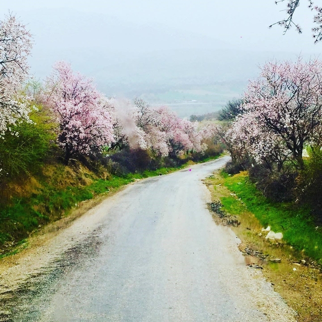 Gediz'de bahar aylarının getirdiği güzellik büyülüyor
