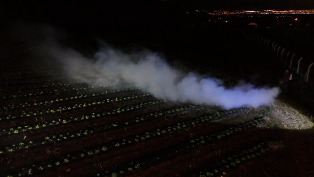 Erzincan'da 1450 rakımda don nöbeti: Üreticiler ürünlerini dumanla korudu