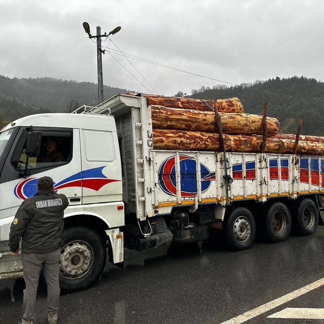 Sinop'ta orman ürünlerine 183 noktada denetim