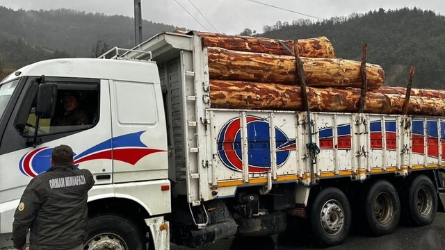 Sinop'ta orman ürünlerine 183 noktada denetim