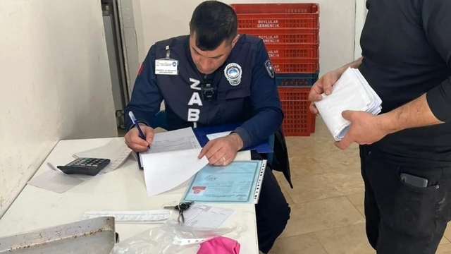 Germencik'te ruhsatlar kontrol edildi