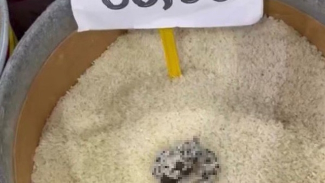 Mersin'de skandal görüntü: Pirinçten kedi dışkısı çıkan markete ceza
