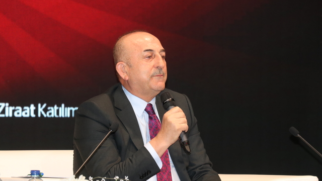TBMM NATO Parlamenter Asamblesi Türk Delegasyonu Başkanı Çavuşoğlu Isparta'da konuştu: