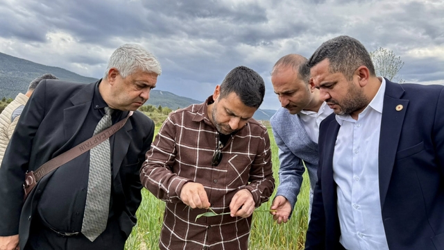 Durağan Belediyesi'nden üreticilere örtü altı sebze yetiştiriciliği eğitimi