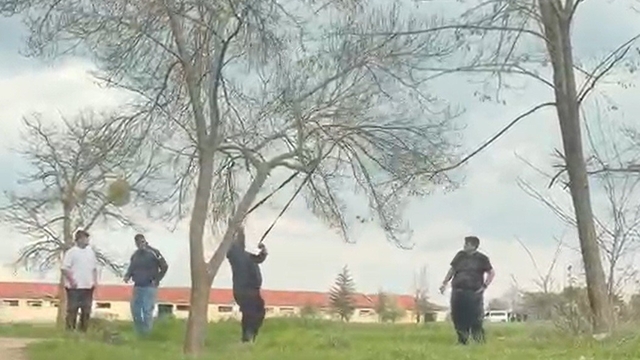 Eskişehir'de 'mangal için ağaç dalını kırmaya çalıştılar' iddiası