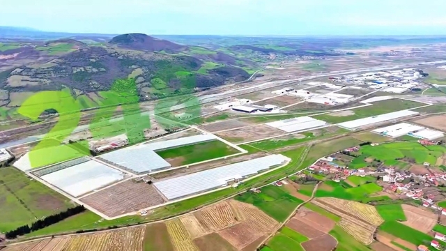 Modern tarımın yeni adresi Bafra: Karadeniz'de başarı hikayesi yazılıyor