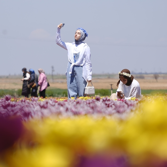 Karaman'da lale tarlasına ziyaretçi akını: 2 günde 30 bin kişi gezdi
Türkiy...