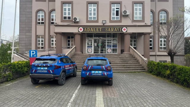 Zonguldak'ta süs bitkisi bahçesinde uyuşturucu özellikli kaktüs ele geçirildi