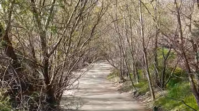 Nallı Çayı ıslah ediliyor