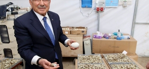 Başkan Güler: "Ordumuza yeni bir sektör hazırlıyoruz"