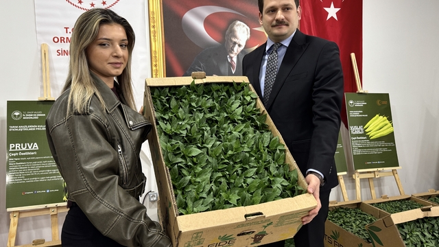 Sinop'ta üreticilere 135 bin sebze fidesi dağıtıldı