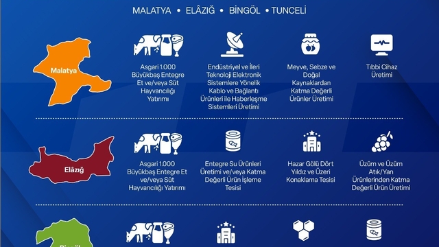 Yerel Kalkınma Hamlesi ile yatırımcılara 301 Milyon TL'ye kadar destek