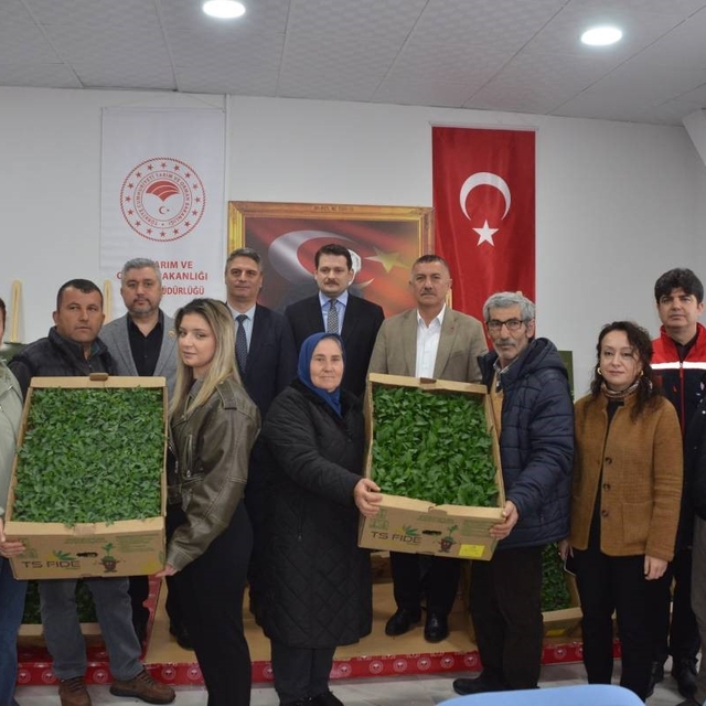 Sinop'ta 135 bin fide toprakla buluşuyor