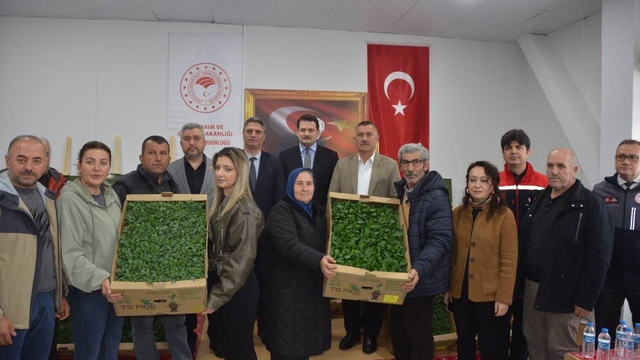 Sinop'ta 135 bin fide toprakla buluşuyor
