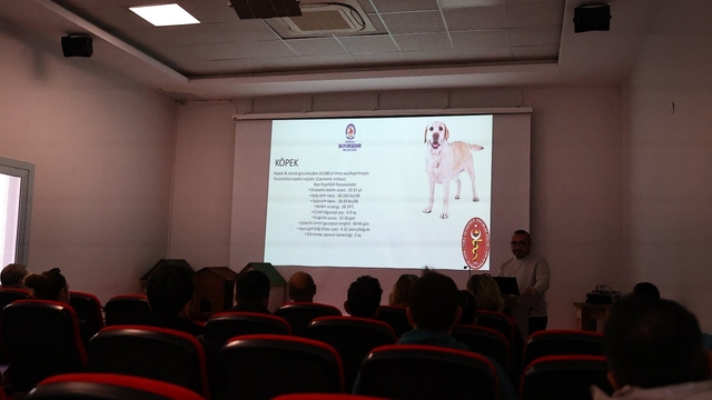 Denizli'de pet shoplara eğitim desteği verdi