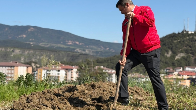 Başkan Çetinkaya bademin karşılığını emeğiyle ödedi