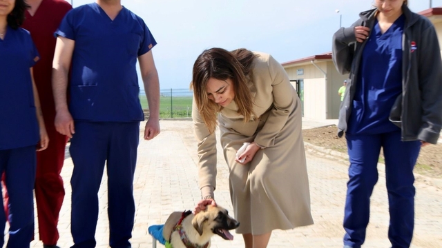 Tekirdağ'da can dostları için 10 bin metrekarelik yaşam alanı