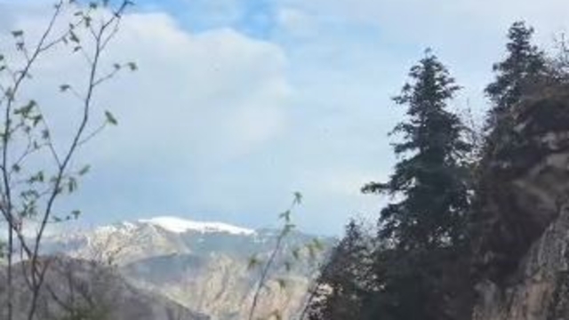 Artvin'de yaylada düşerek yaralanan vatandaş helikopterle kurtarıldı