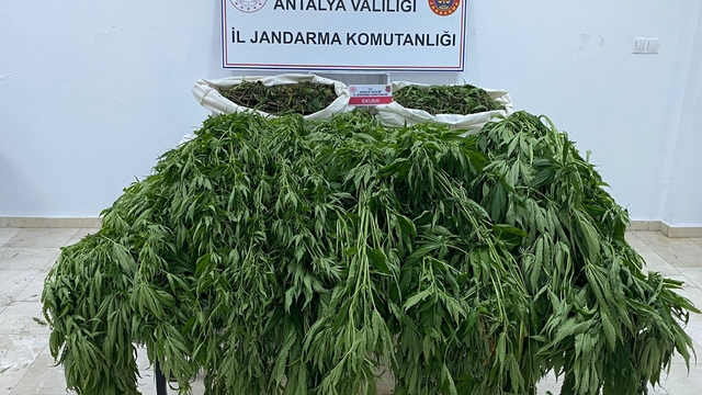 Antalya'da uyuşturucu operasyonunda 1 kişi tutuklandı