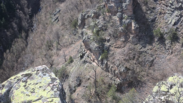 Galeri
