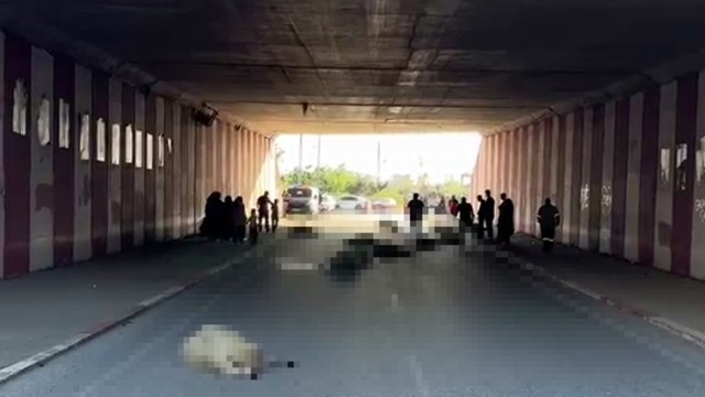Hatay'da otomobilin çarptığı sürüdeki 17 koyun öldü