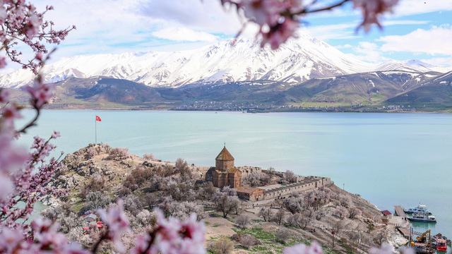 Akdamar Adası çiçek açan badem ağaçlarıyla renklendi