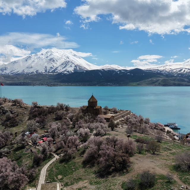 Badem ağaçlarının çiçekleriyle güzelleşen Akdamar Adası'nda turist yoğunluğ...