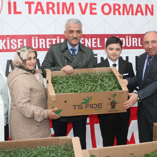Sebze üretimi yapan çiftçilere fide dağıtıldı
Fidelerin yüzde 75'i Tarım ve...