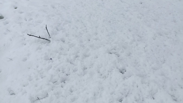 Bilecik'te kar sürprizi