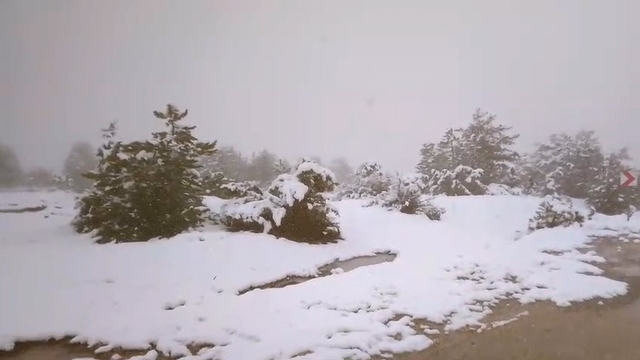 Baharı beklerken kar geldi
Eskişehir'de kar keyfi: Dağküplü beyaza büründü