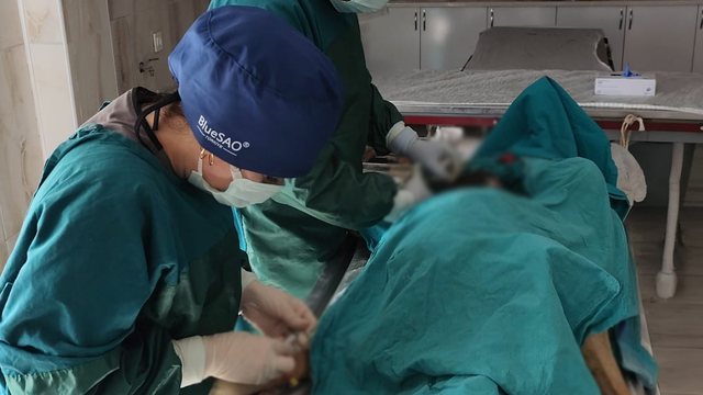 Mardin'de bir köpeğin meme bölgesindeki 1 kiloluk tümör ameliyatla alındı