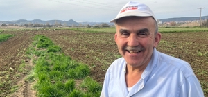 Çiftçinin doğal mesai arkadaşları iş başında
Göç yolundaki leylekler ve küç...