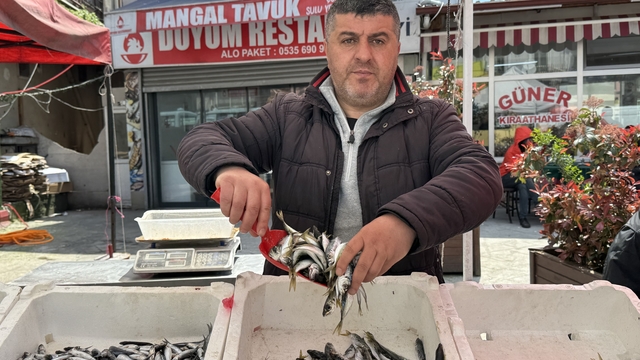 Balık tezgahlarında kıyı balıkçılığı mesaisi