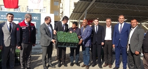 Kilis'te 320 çiftçiye üzüm şalı, 250 çiftçiye 400 bin fide desteği