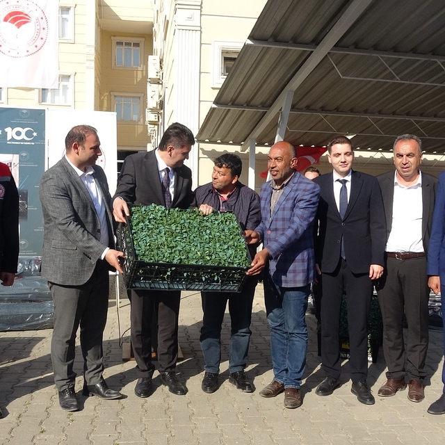 Kilis'te 320 çiftçiye üzüm şalı, 250 çiftçiye 400 bin fide desteği